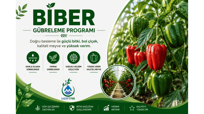 Biber (Sera) Gübreleme Programı
