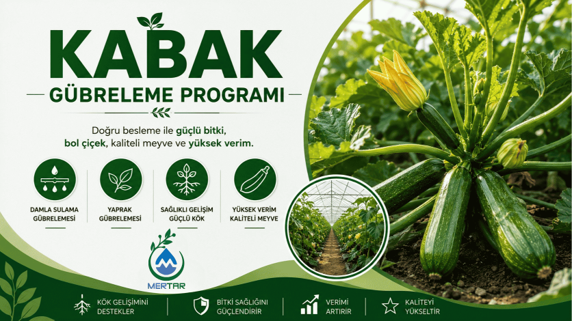 Kabak Gübreleme Programı