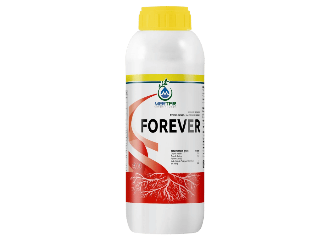 FOREVER
