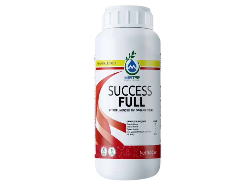 SUCCES FULL