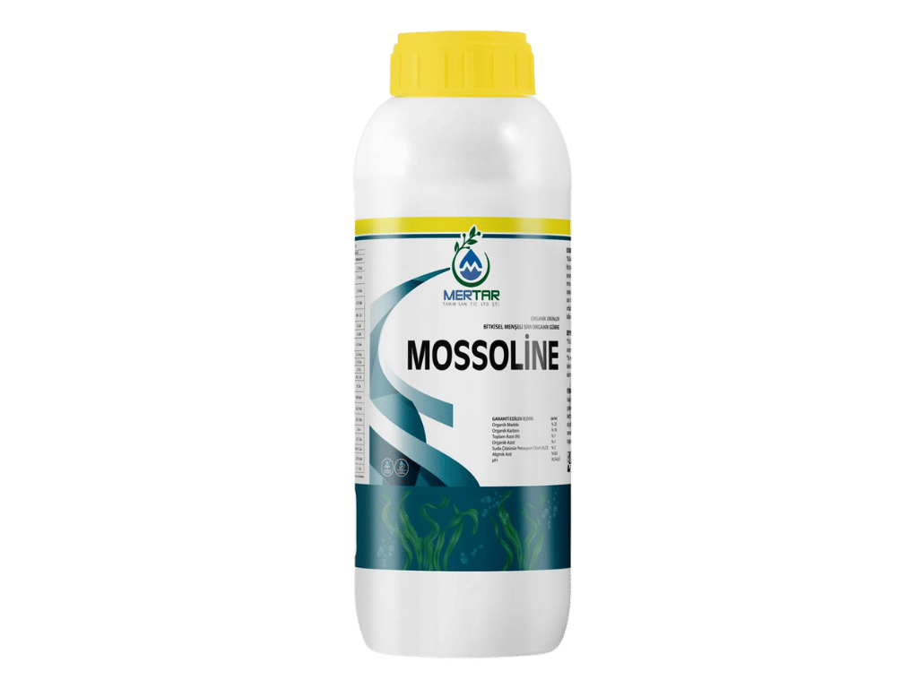 MOSSOLİNE