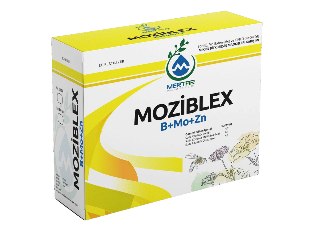 MOZIBLEX