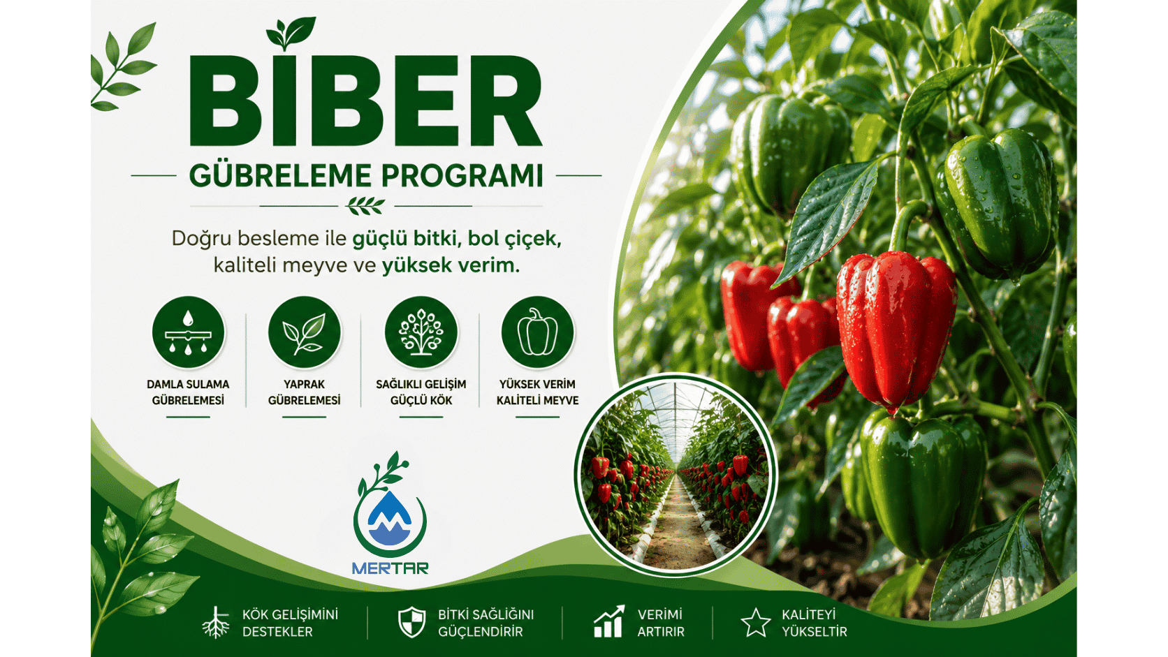 Biber (Sera) Gübreleme Programı
