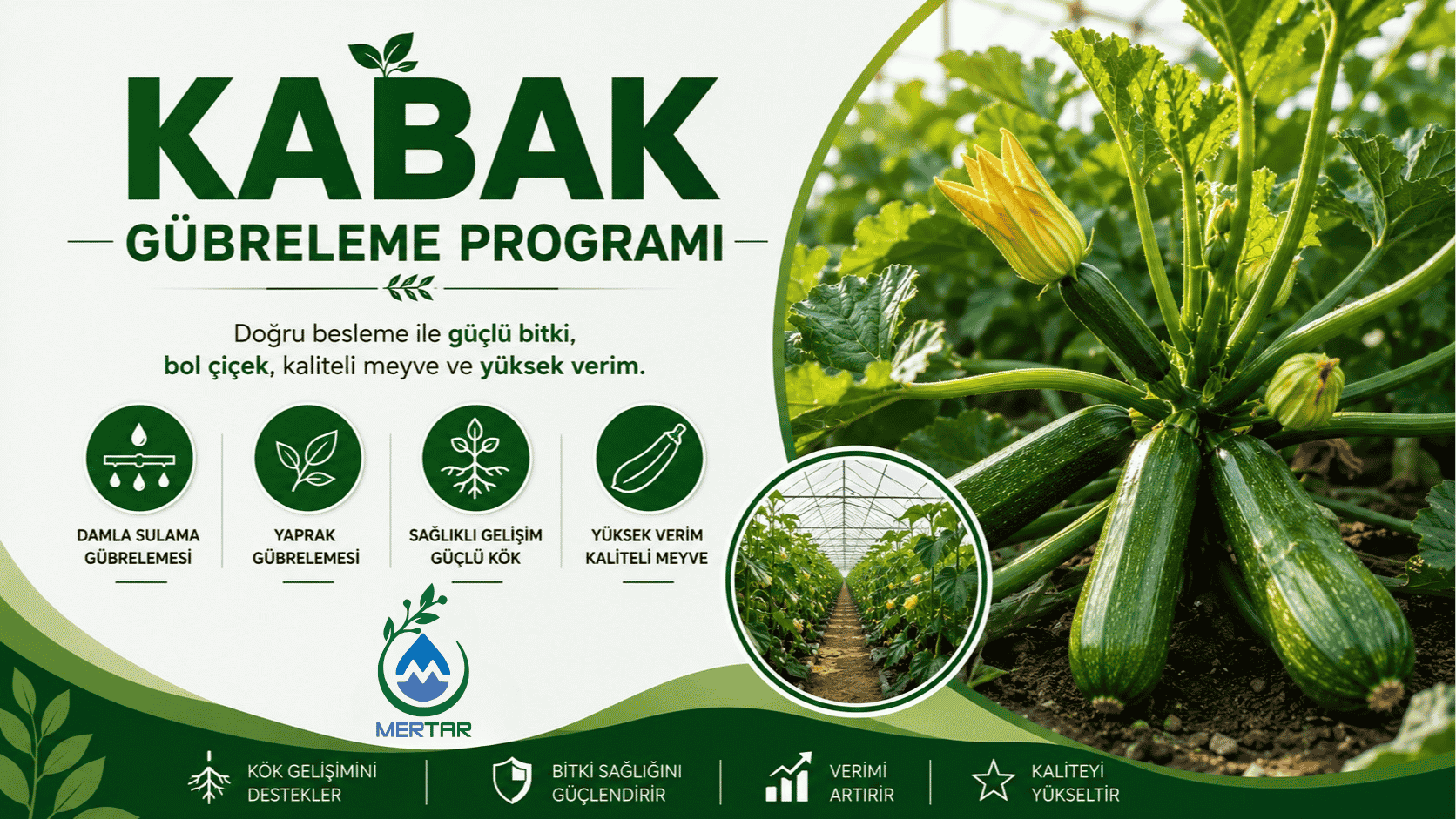 Kabak Gübreleme Programı