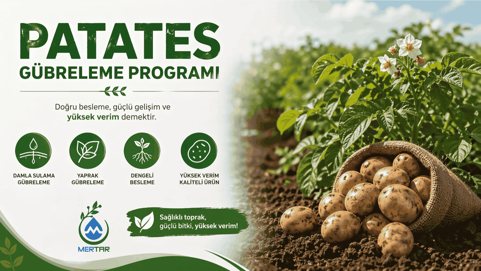 Patates Gübreleme Programı